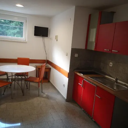 Apartma Peca Lägenhet Crna na Koroskem